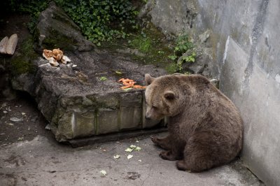 One of the 4 guardians to the Česk Krumlov castle