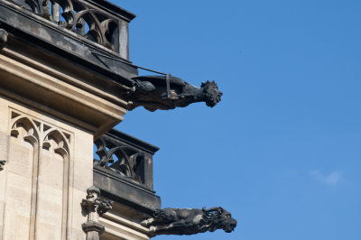 gargoyles...
