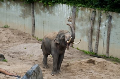Praha Zoo!