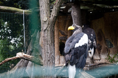 g1/14/518714/3/127561063.CrRdQ5T5.jpg