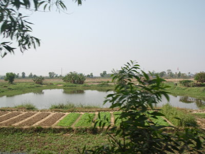 P2020250.JPG