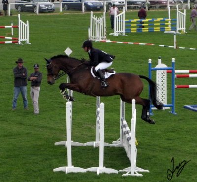 2008_11_01 AP Fair in Ashburton: Horses