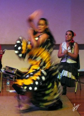 IMG_8486 Flamenco in Lima Jan16
