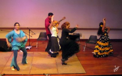 2009_01_Flamenco in Lima