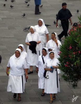 2009_02_06 Nuns and Novices (newlyweds)