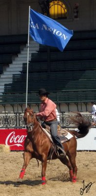 IMG_4225.JPG