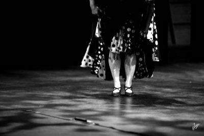 2010_10_16 Flamenco in Vivo - Furruca por Rumbita