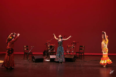 2010_10_16 Flamenco in Vivo - Noche Buena (Circle Dance)