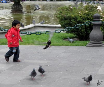 2011_02_02 Ninos con Pigeons