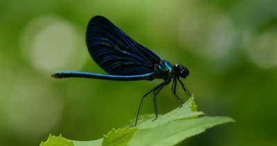 IMG_5698.JPG