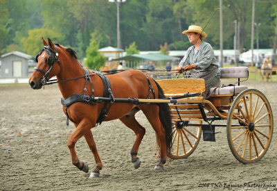 ~Please respect United States Copyright Laws; do not duplicate my portfolio photographs.