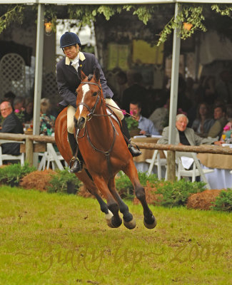 2009 Aiken Horse Show