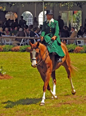 2009 Aiken Horse Show