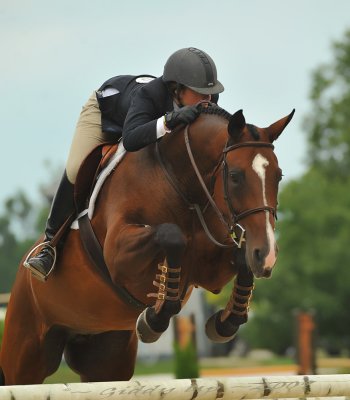  ~TNC EQUINE PHOTOGRAPHY~ 2009 HORSE SHOWS