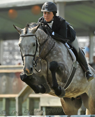 THE 2010 HAMPTON CLASSIC HORSE SHOW~ Bridgehampton, New York