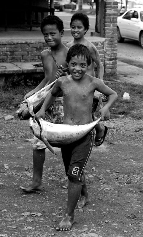 Freshly caught tuna being brought to the fish market. L1008737.jpg