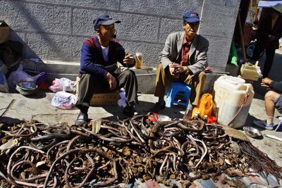 Selling of dried snakes and frogs as medicine in southwest China.