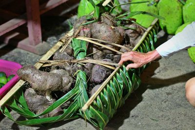 Yams from Pohnpei. IMG_3982.jpg