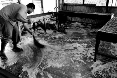 Cleaning the floor at a local fish and fruit market. 25mm Biogon L1006800.jpg