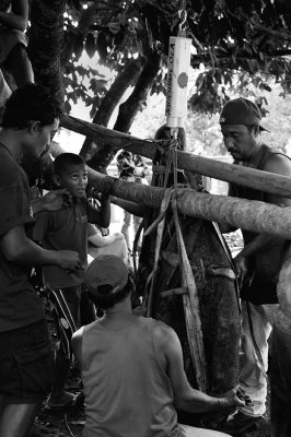 Weighing in of a yam at World Food Day, Kolonia. IMG_7892.jpg