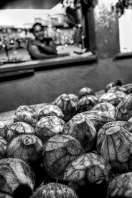 Selling coconuts. IMG_9237_t.jpg