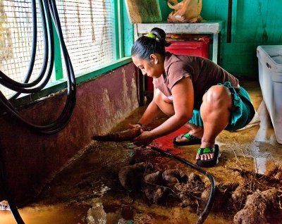 Cleaning yams. IMG_9734.jpg