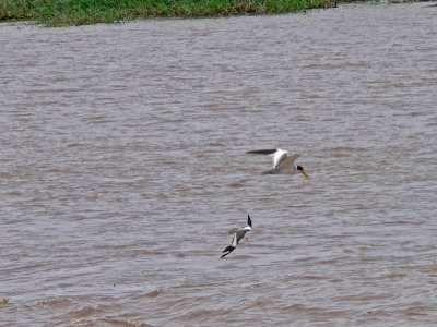 Peru 2008 - 1 606.JPG
