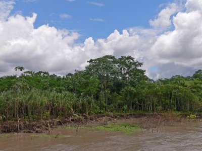 Peru 2008 - 1 620.JPG