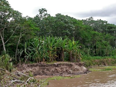 Peru 2008 - 1 637.JPG