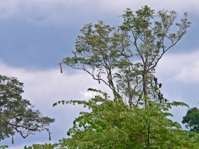 Peru 2008 - 1 647.JPG