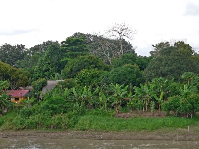 Peru 2008 - 1 665.JPG
