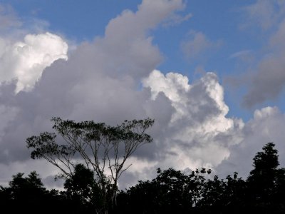Peru 2008 - 1 701.JPG