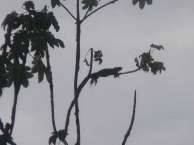 Peru 2008 - 1 817.JPG