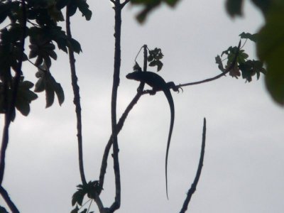 Peru 2008 - 1 819.JPG