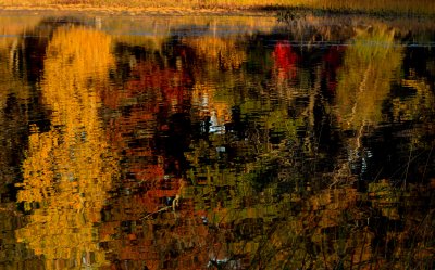 Birch Island N Reflection