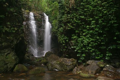Box Log falls - Canungra Creek