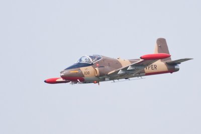 IMG_3922.jpg