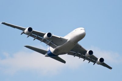 IMG_4768.jpg