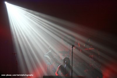 Tarja