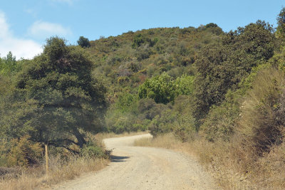 DSC_0435.jpg