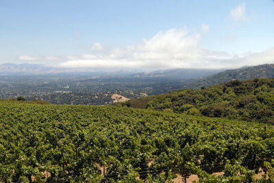 DSC_0436.jpg