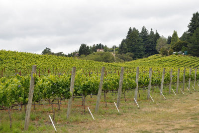 DSC_0450.jpg