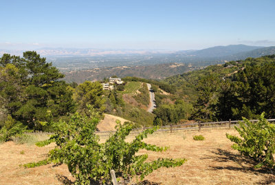 DSC_0488.jpg