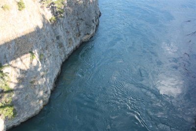IMG_0252 (Medium).JPG