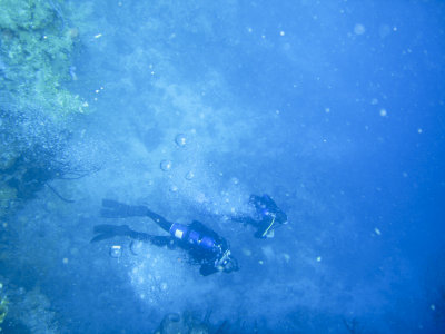 Roatan Vacation-4-2.jpg