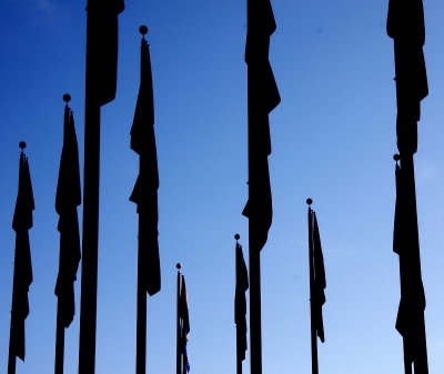 Boise City Hall Flags - Boise