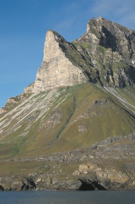 Seabird cliff Svalbard 3