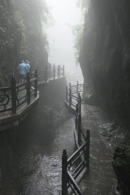 into the mist