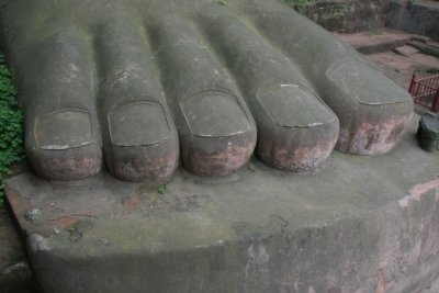 Toes