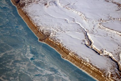 Arctic